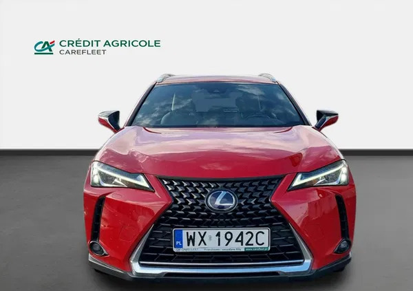 świętokrzyskie Lexus UX cena 124000 przebieg: 64086, rok produkcji 2019 z Gubin